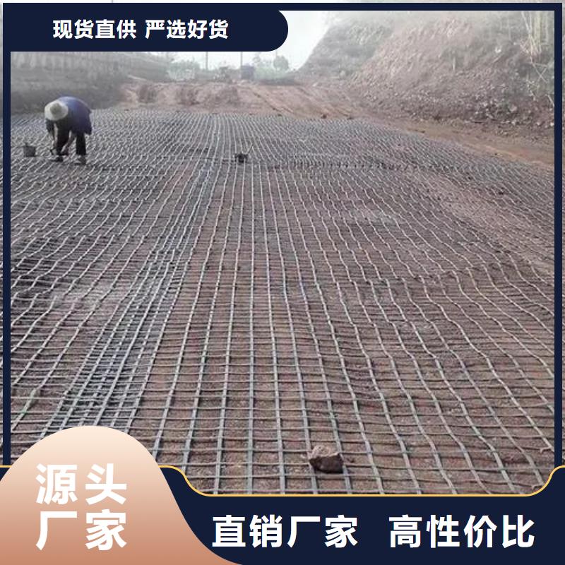 单向土工格栅公司厂家