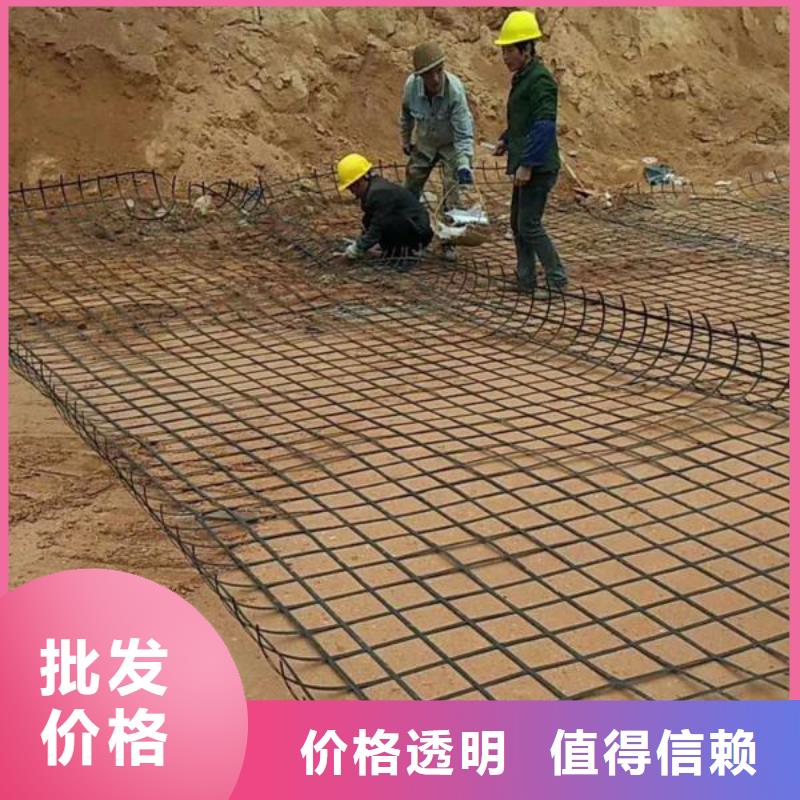 土工格栅常用指南价格