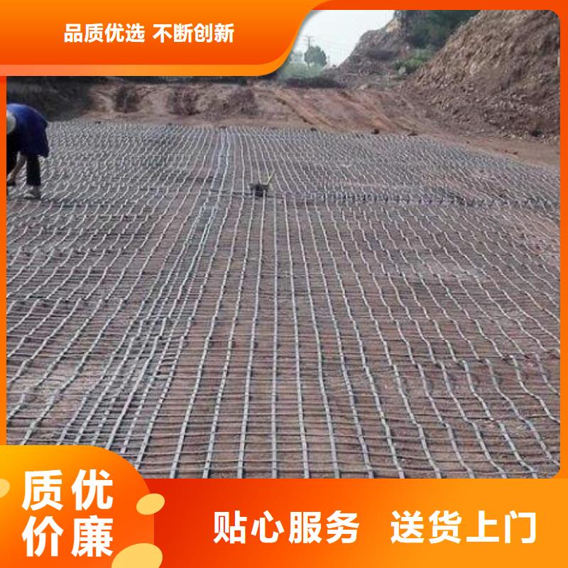 钢塑土工格栅正规厂家厂家