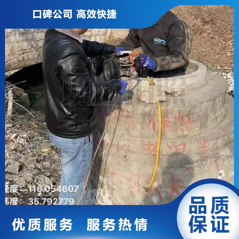 水下安装蛙人救援团队专业承接
