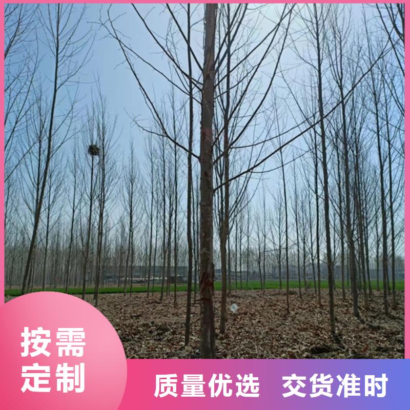 法桐北京栾一站式采购商
