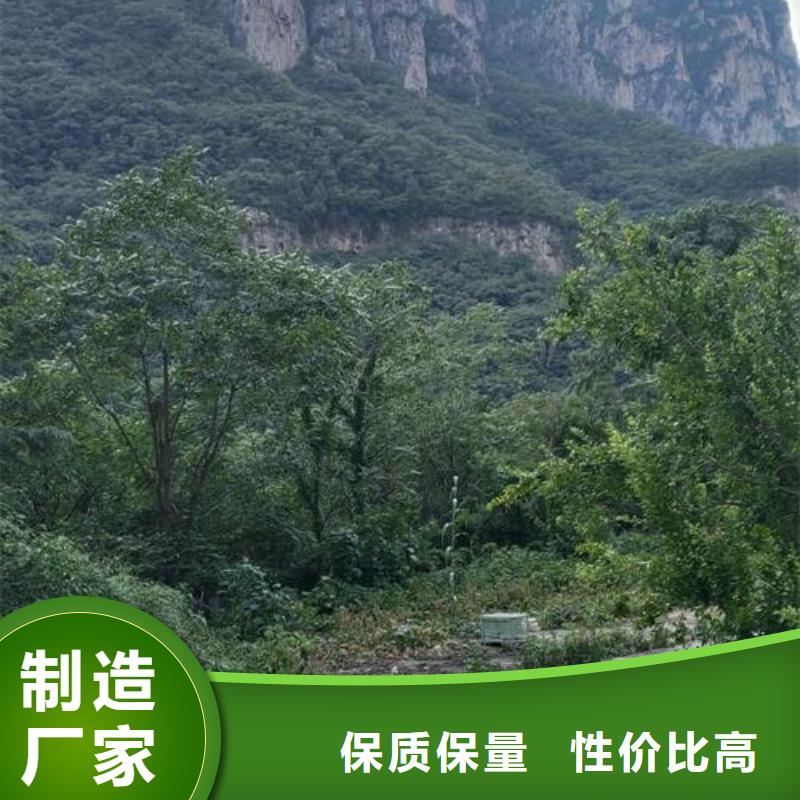 二次构造柱泵混凝土泵免费询价