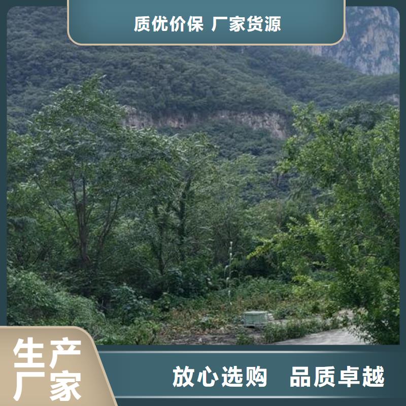 二次构造柱泵-混凝土输送泵值得买