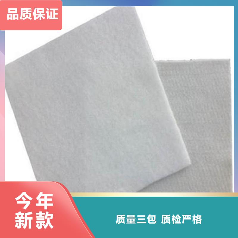 品质之选 土工布_【涤纶格栅】适用范围广-鼎诺土工材料