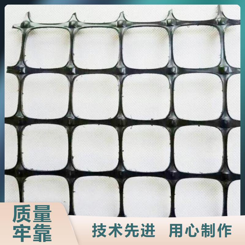 【多年实力厂家 土工格栅-土工膜厂家】-(鼎诺)