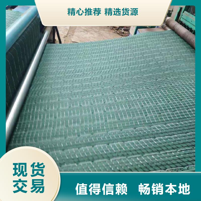 椰丝毯_双向土工格栅价格有优势