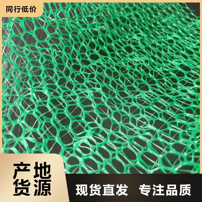 三维植被网,软式透水管产地工厂