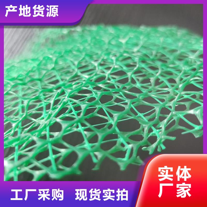 三维植被网,软式透水管产地工厂