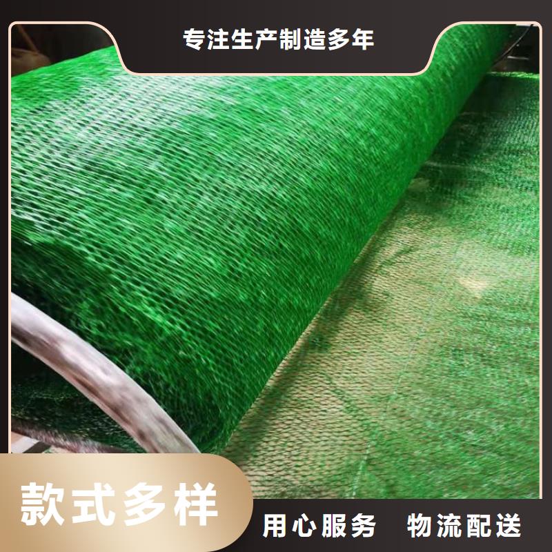 【检验发货 三维植被网,通风降噪丝网层层质检】-附近口碑好实力强_产品案例