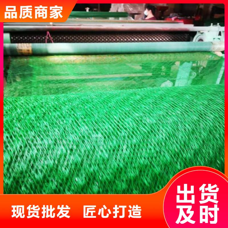 三维植被网,软式透水管产地工厂