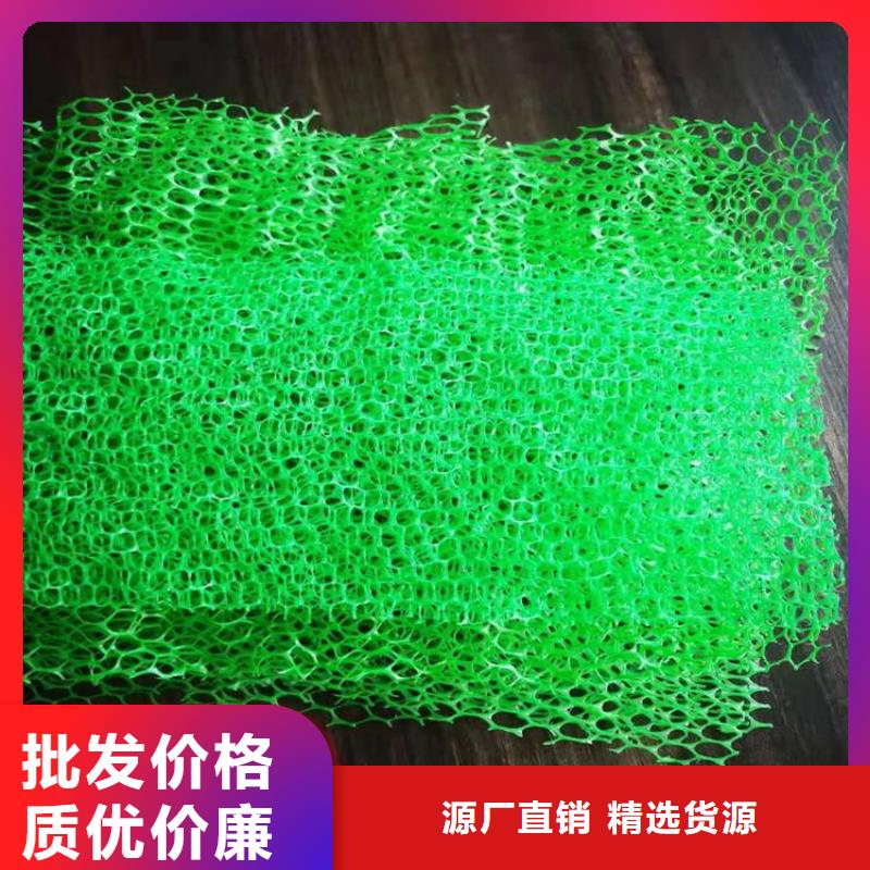 一件也发货【三维植被网】-防水板真正的源头厂家-附近用的放心-产品资讯