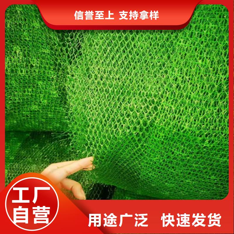 三维植被网多种规格可选