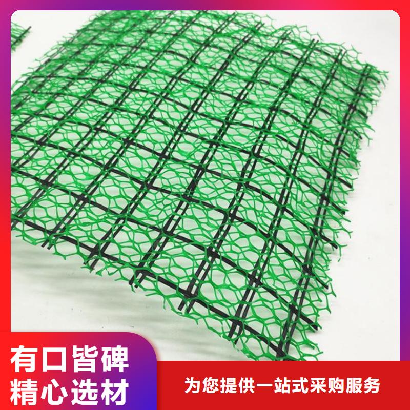 三维植被网,软式透水管产地工厂