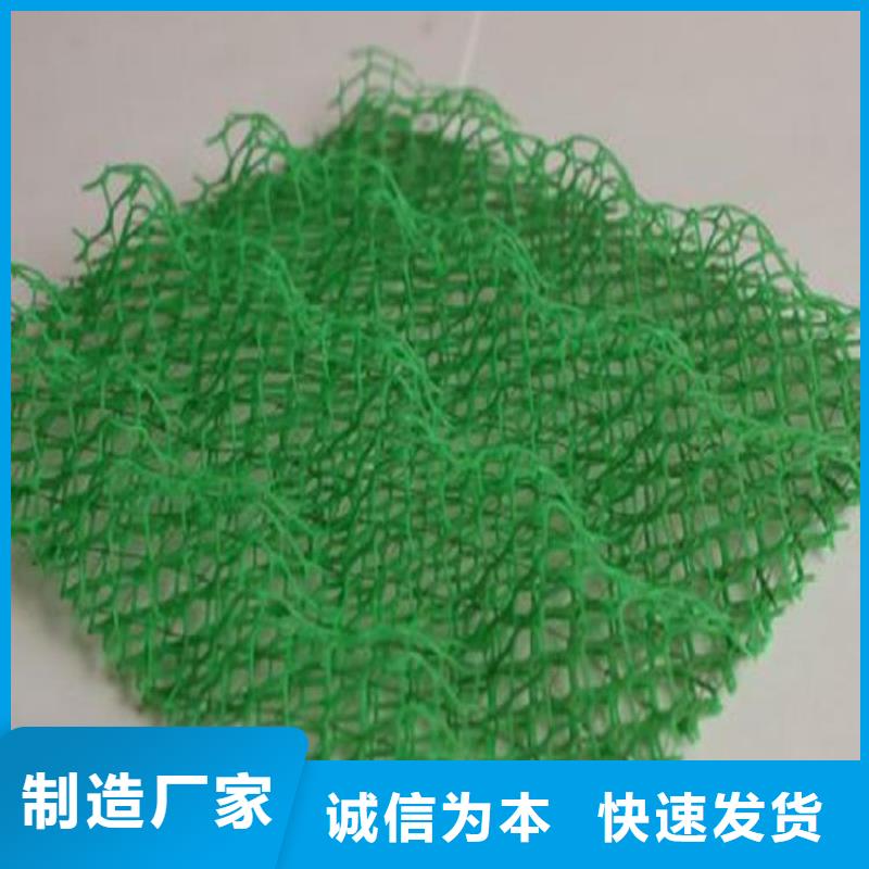 三维植被网,软式透水管产地工厂