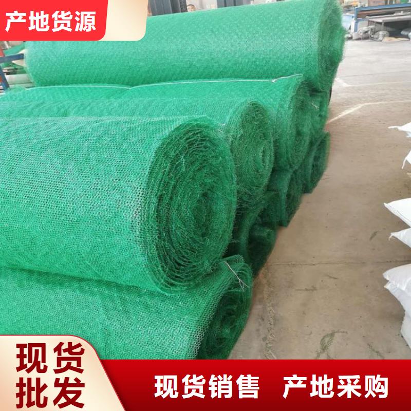 三维植被网,软式透水管产地工厂