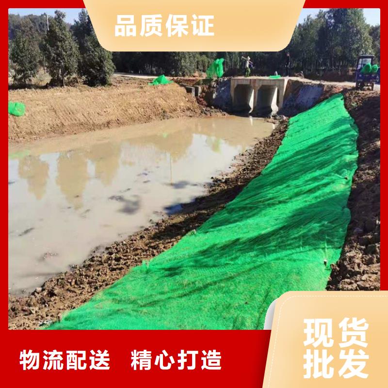 三维植被网双向塑料土工格栅价格实在