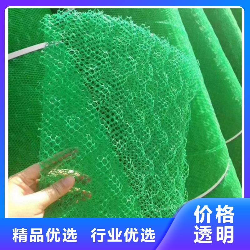 三维植被网,软式透水管产地工厂