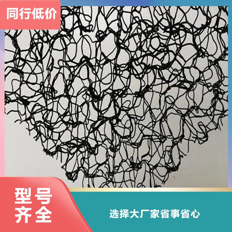 水土保护毯【土工格栅】匠心打造