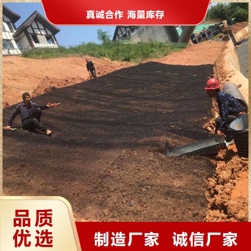 水土保护毯双向土工格栅常年供应