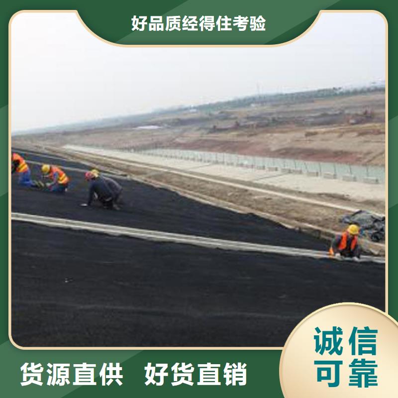 经销商 水土保护毯 【防渗膜】直销厂家-鼎诺土工材料