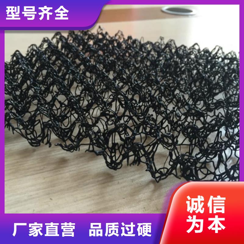水土保护毯【土工格栅】匠心打造