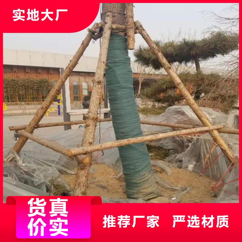 软式透水管-视频-阿拉善|兴安|包头|锡林郭勒|通辽软式透水管厂家销售-鼎诺土工材料(乌海市分公司)