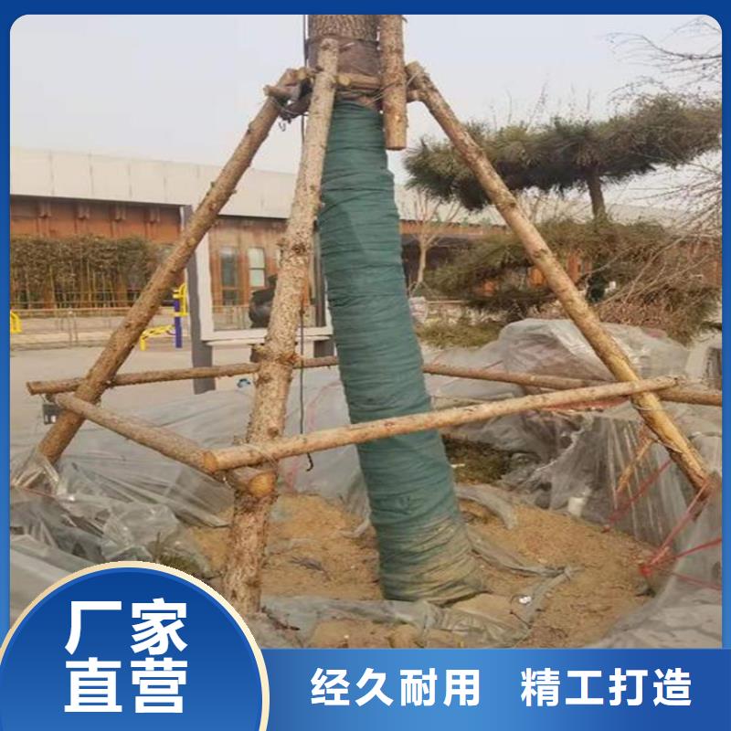 软式透水管视频-软式透水管(鼎诺)覆盖地域内蒙古乌海市鄂尔多斯|包头|赤峰|呼伦贝尔|兴安