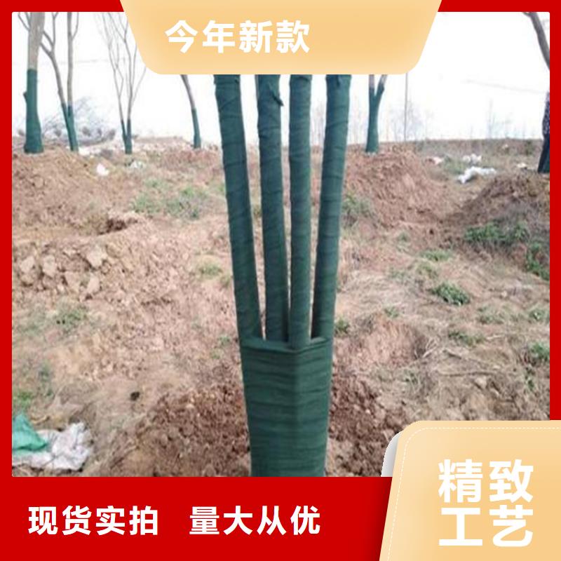 【鼎诺】现货批发【裹树布】 防渗膜品质无所畏惧-鼎诺土工材料