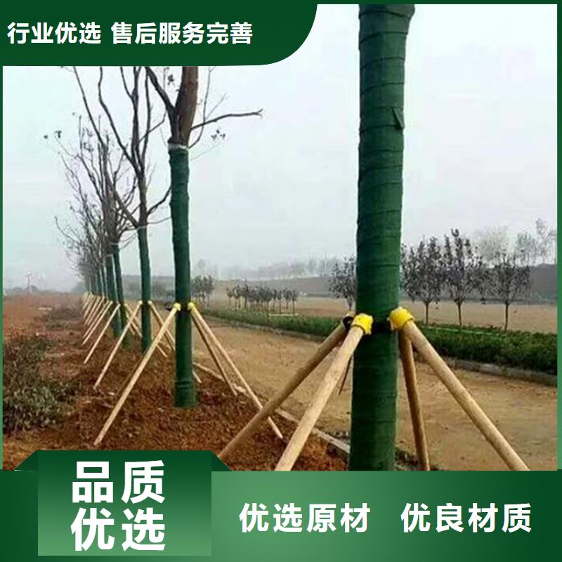 裹树布_防渗膜一手货源