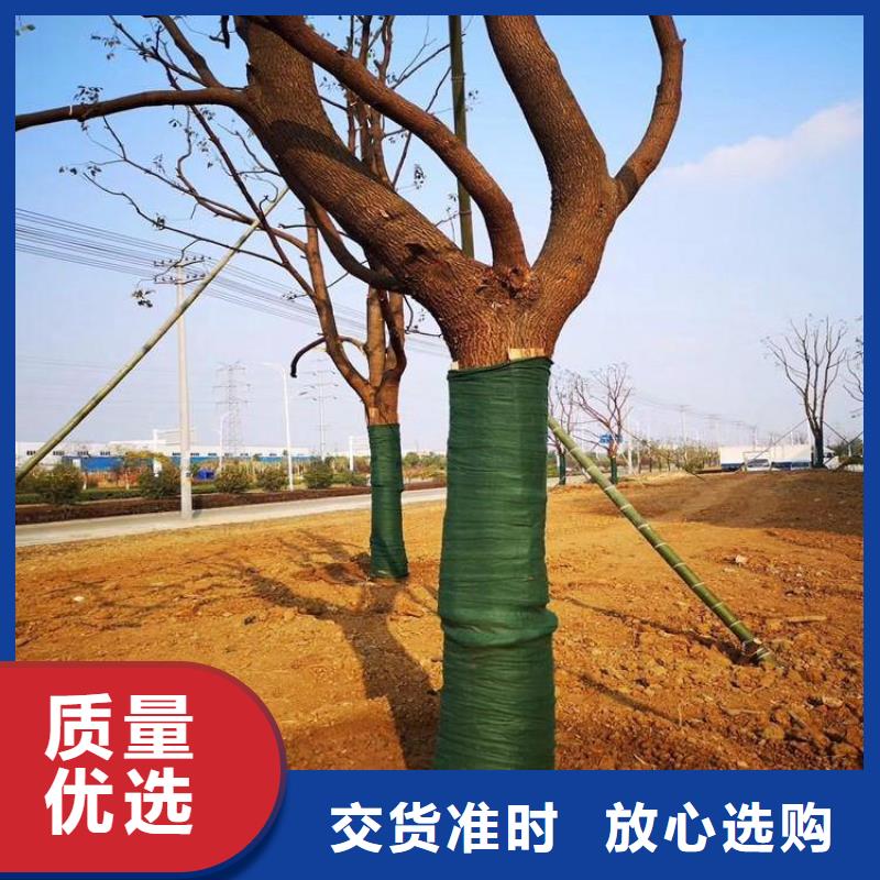软式透水管视频-软式透水管(鼎诺)覆盖地域内蒙古乌海市鄂尔多斯|包头|赤峰|呼伦贝尔|兴安