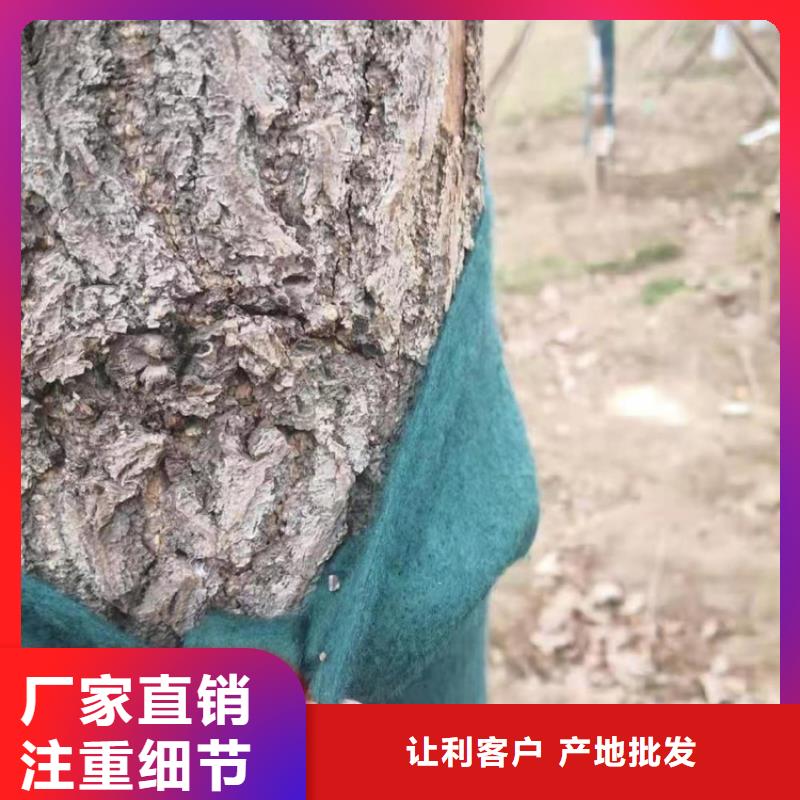 软式透水管-视频-软式透水管-四川省攀枝花市周边经销商-仁和|米易|宜宾|成都|广安|巴中