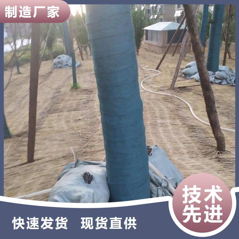 软式透水管-视频-阿拉善|兴安|包头|锡林郭勒|通辽软式透水管厂家销售-鼎诺土工材料(乌海市分公司)