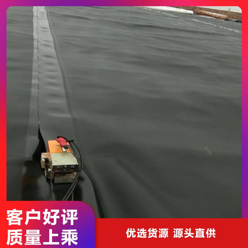 【品牌大厂家 土工膜 涤纶格栅一对一为您服务】当地生产厂家