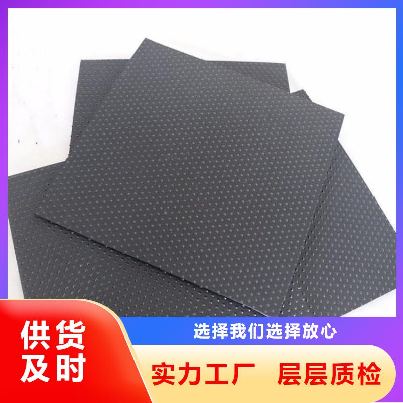 【品牌大厂家 土工膜 涤纶格栅一对一为您服务】当地生产厂家