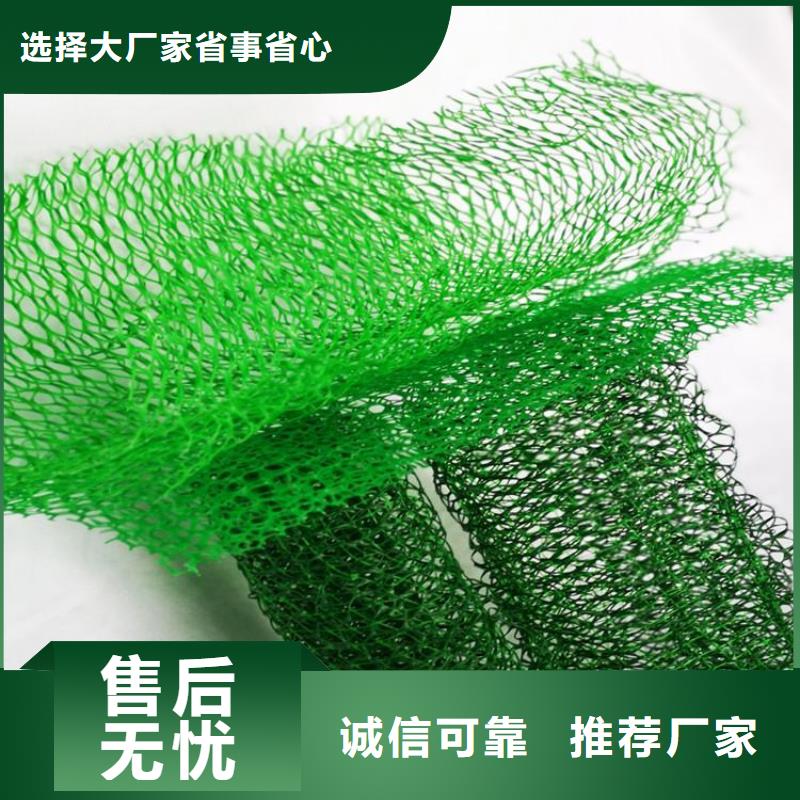 三维植被网塑料盲沟规格型号全
