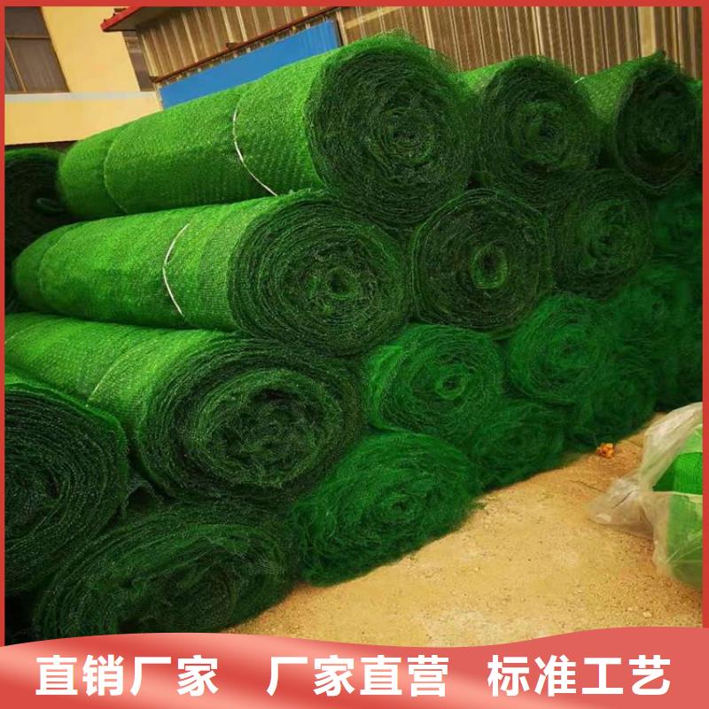 三维植被网硬式透水管厂家工艺先进