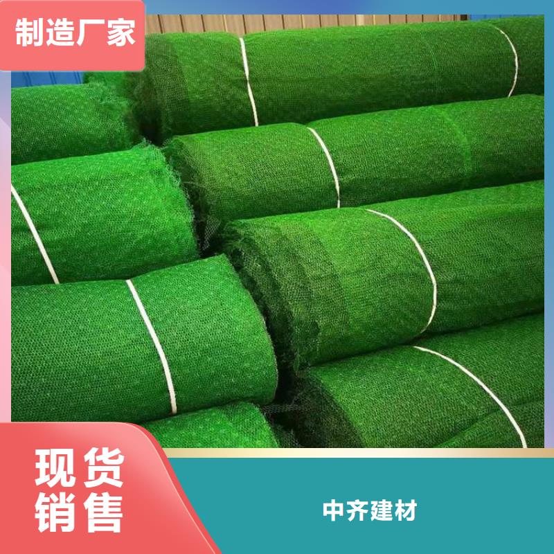 三维植被网土工布厂家销售
