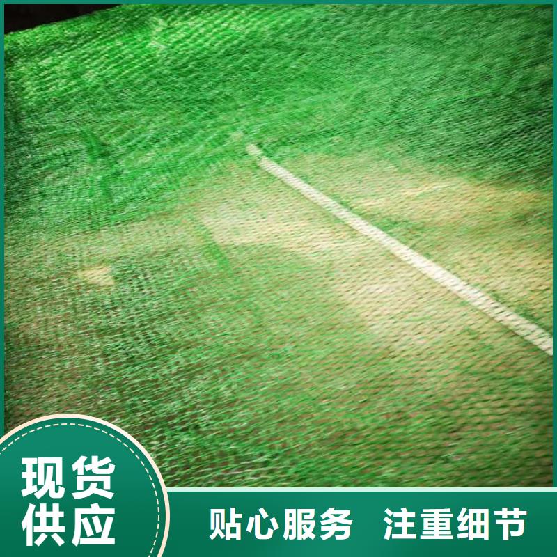 三维植被网硬式透水管厂家工艺先进