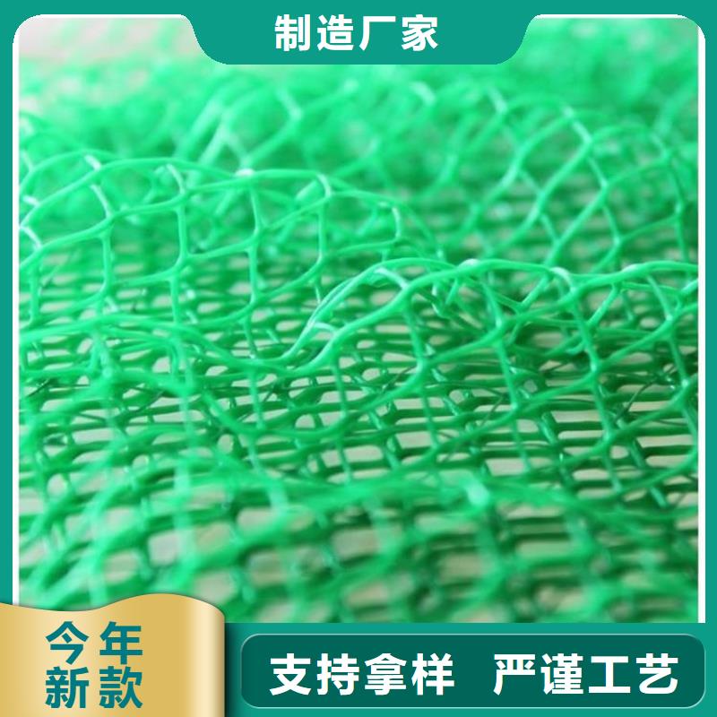 三维植被网-土工格栅规格齐全实力厂家
