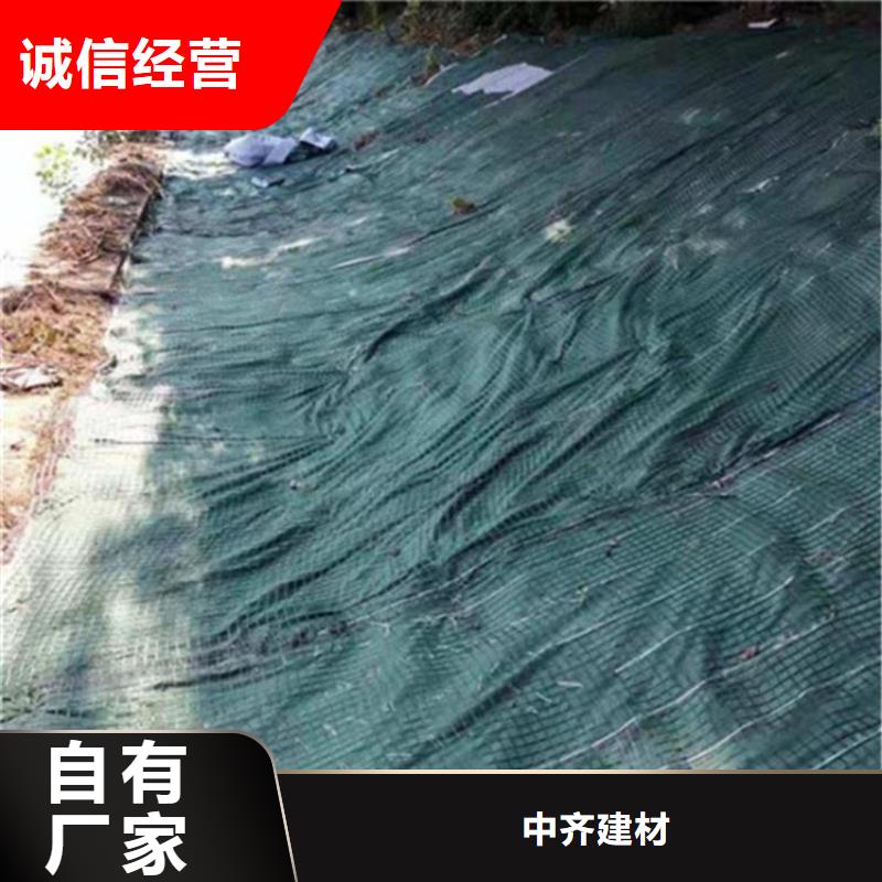 椰丝毯,双向塑料土工格栅本地厂家值得信赖