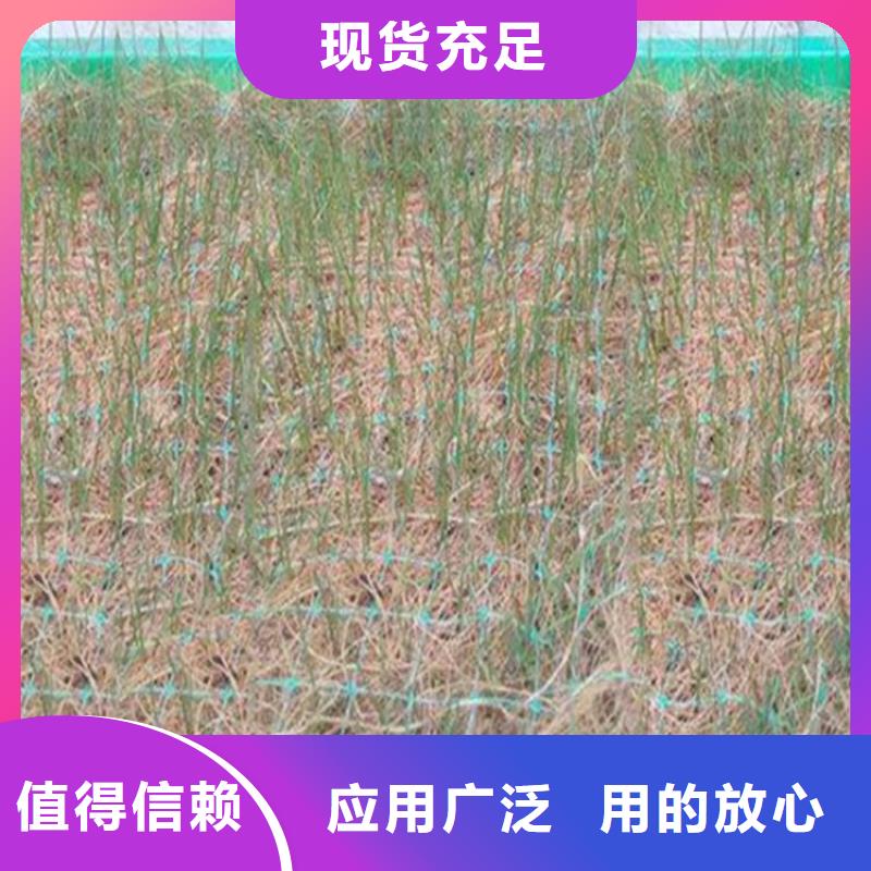 软式透水管-视频-长春市软式透水管-【同城】 【附近】可服务区域南关|绿园|辽源|延边|四平|通化|吉林