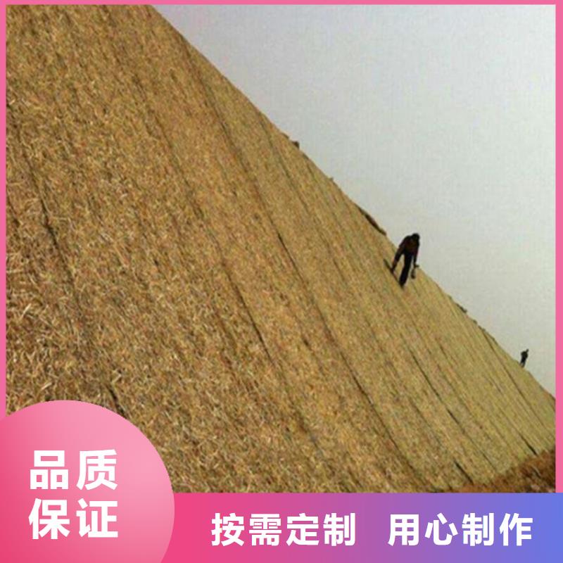 椰丝毯,双向塑料土工格栅本地厂家值得信赖
