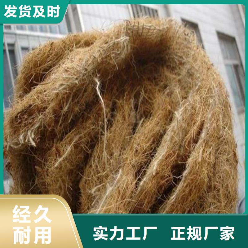 软式透水管-视频-广东省韶关市中齐软式透水管可服务区域乐昌|新丰|茂名|中山|汕尾|潮州|梅州等