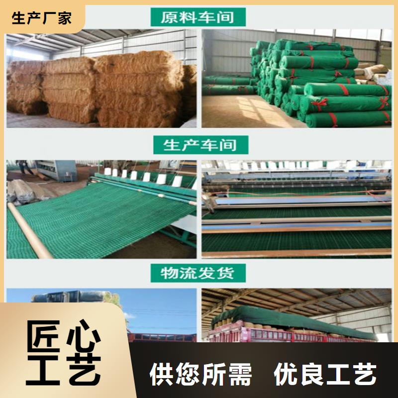 货品齐全【椰丝毯】,双向塑料土工格栅支持定制批发-中齐