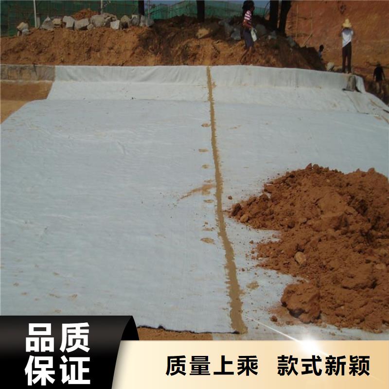 【膨润土防水毯】-土工膜专业信赖厂家