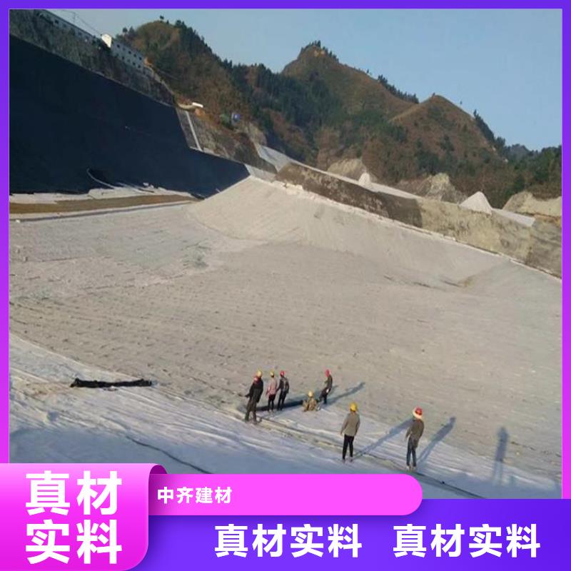 快速发货 膨润土防水毯_【防渗膜】发货及时-{中齐},重信誉厂家