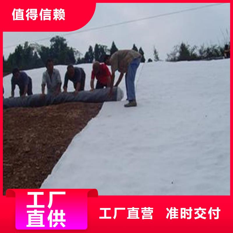 软式透水管视频-四川省宜宾市|珙县|翠屏|内江|南充|泸州|阿坝|德阳|甘孜软式透水管-中齐