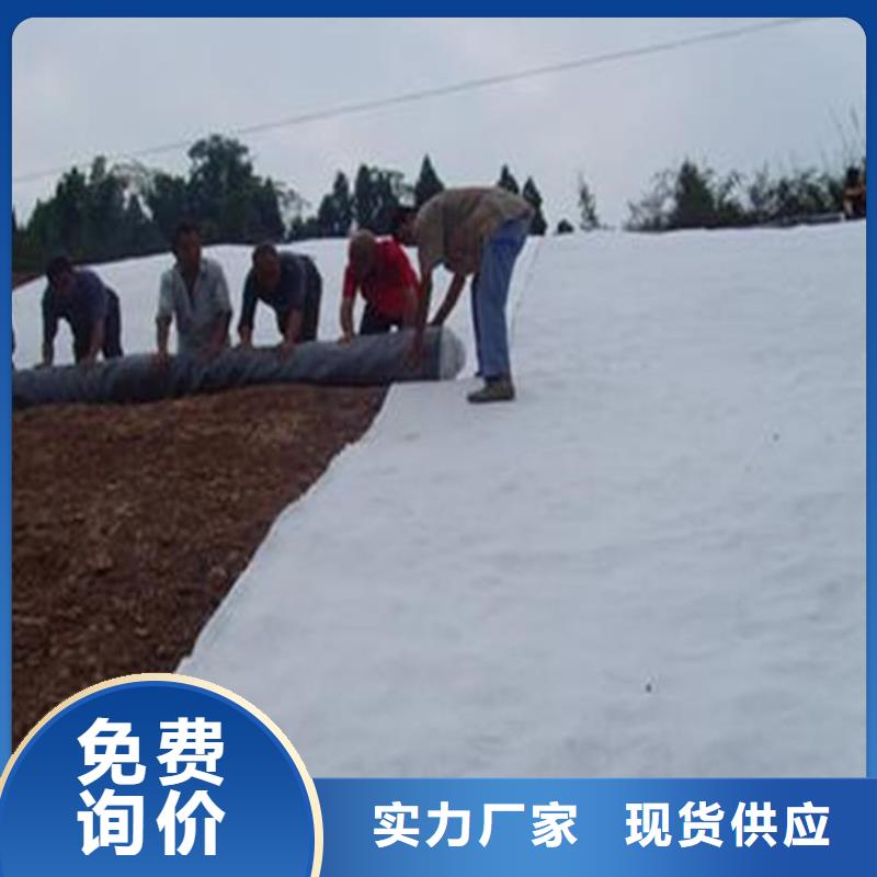 膨润土防水毯钢塑土工格栅供应采购