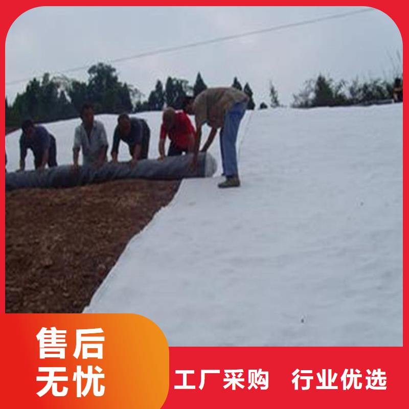 膨润土防水毯-HDPE土工膜源头工厂