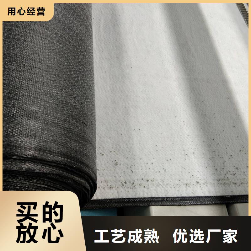 品牌:中齐-制造生产销售 膨润土防水毯 【土工膜】质量检测_v651.com